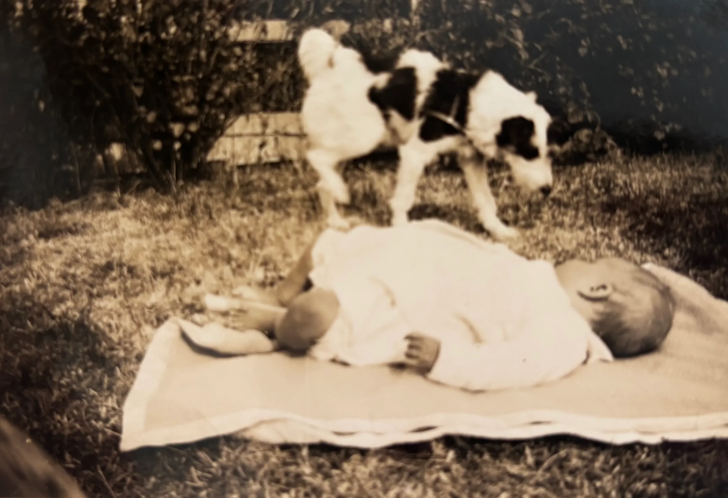 Brian Radcliffe Cary Groome 1935 – 2003, 5, Sutton Road, East Blatchington, Seaford, East Sussex, England — Photo of Brian Radcliffe Cary Groome, who was born at 5 Sutton Road, Seaford on 6 February 1935., 1935