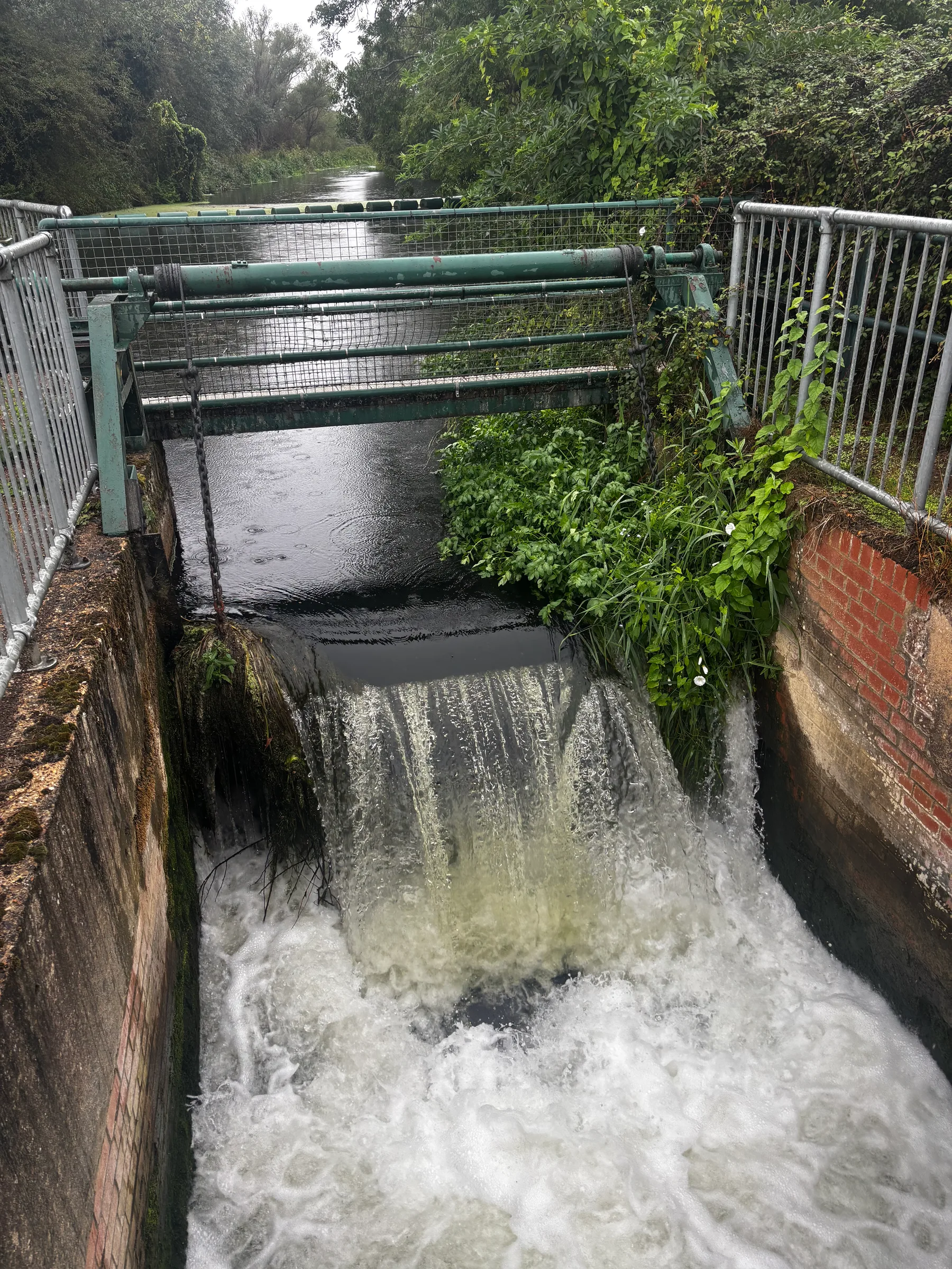 Stanwick Lakes, Irthlingborough, Northamptonshire, England — Rainy walk around Stanwick Lakes today. Looking at their more-modern history, including the remains of the water mill…, 08 September 2026