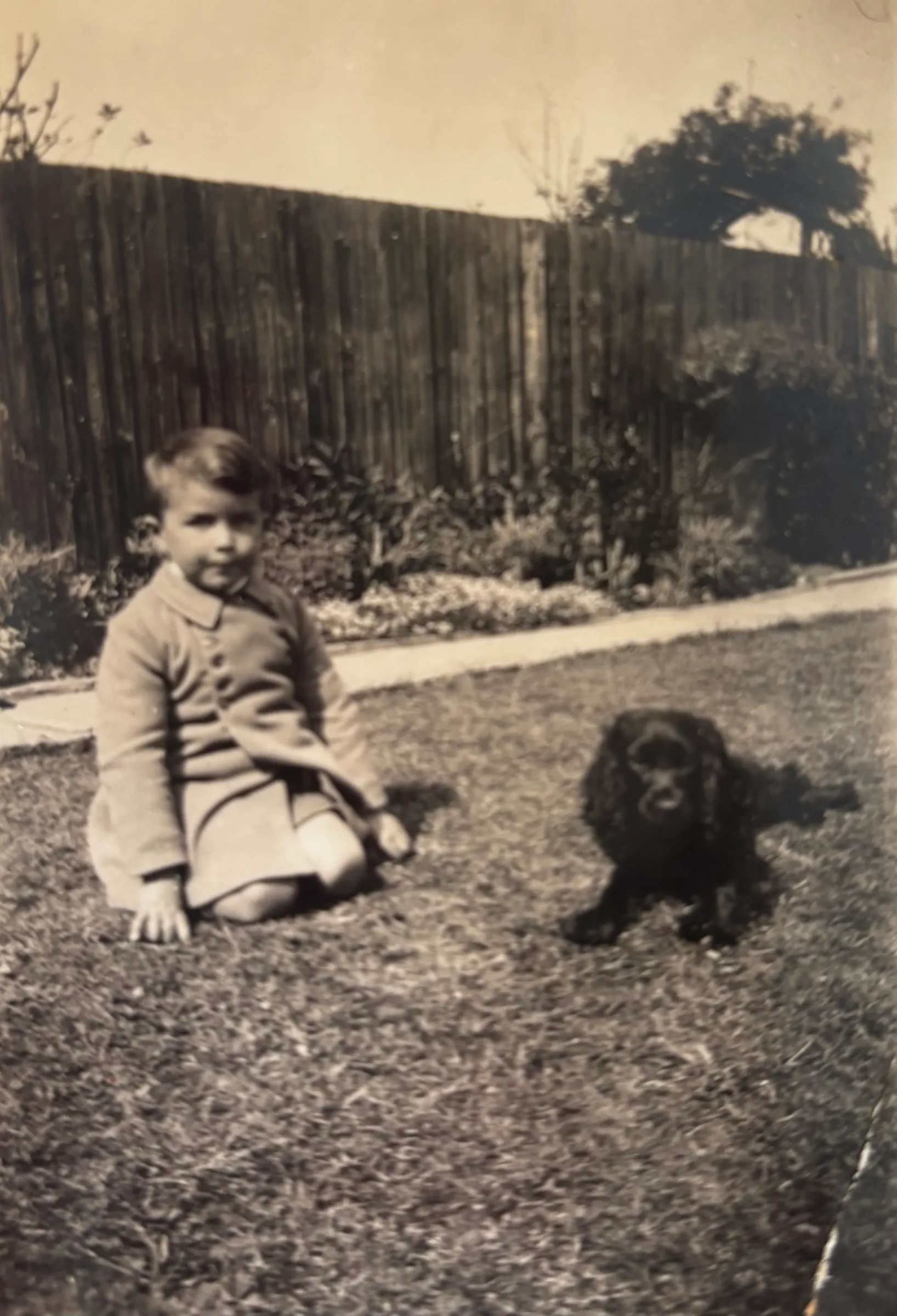Brian Radcliffe Cary Groome 1935 – 2003, 20, Dillingburgh Road, Downside, Eastbourne, East Sussex, England — I think these photos of Brian Radcliffe Cary Groome were taken at 20 Dillingburgh Road, Eastbourne. He lived there with…, 1936-1938